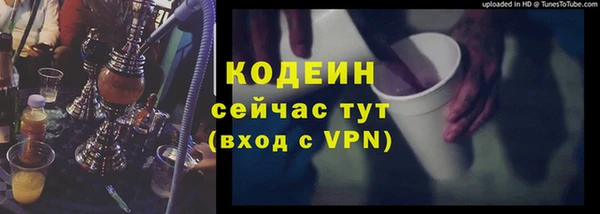 индика Балабаново
