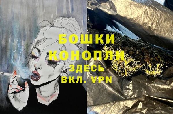 индика Балабаново