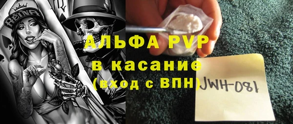 индика Балабаново