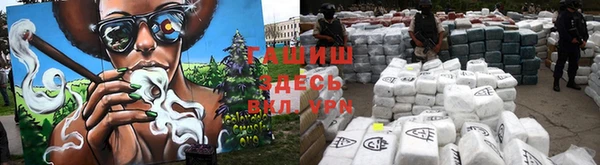 индика Балабаново