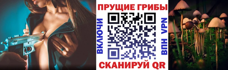 Галлюциногенные грибы MAGIC MUSHROOMS  Козьмодемьянск 